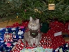 ChristmasEve122416-9670.jpg