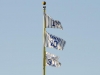14,10, 31. Cubs v Brewers 9/17/16 14,10, 31. Cubs v Brewers 9/17/16