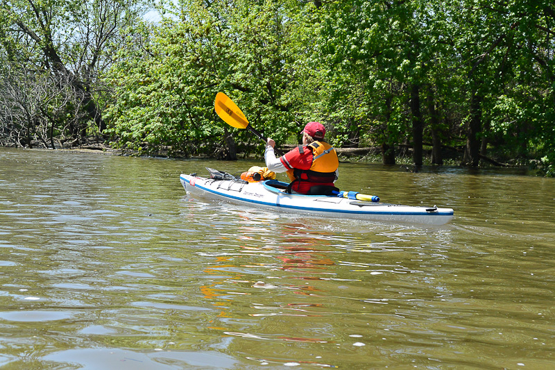 Des Plaines River Kayak Marathon May 2014 - Kozik Family Photo Blog