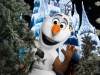 wd031wdw2015313338539875.jpg