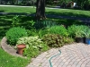 FathersDay061916-5478.jpg