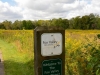 Lifford Park Lifford Park