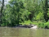 Shuh Shuh Canoe Launch Shuh Shuh Canoe Launch