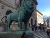 Lion Lion