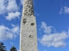 Madison101715-3856.jpg