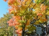 Madison101715-3864.jpg