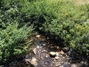 Beginning of Saco River