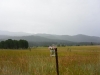 McCall071116-3413.jpg McCall071116-3413.jpg