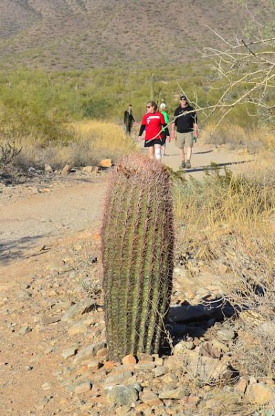 Barrel Cactus,Lost Dog Wash