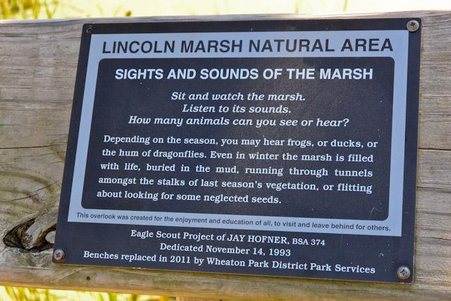 Lincoln Marsh, Prairie Path