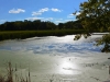 Lincoln Marsh Lincoln Marsh