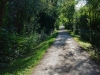 Path near Wiesbrook Rd Path near Wiesbrook Rd