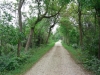 Near St James Farm, Wheaton Near St James Farm, Wheaton