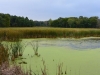 Lincoln Marsh Lincoln Marsh