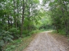 Geneva Spur Geneva Spur
