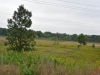 West Chicago Prairie County Forest Preserve West Chicago Prairie County Forest Preserve