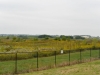 DuPage Airport Praire DuPage Airport Praire