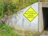 Purple Aster, Cyclists must dismount. Purple Aster, Cyclists must dismount.