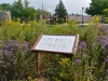 Native Plant Butterfly Garden. Native Plant Butterfly Garden.