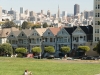 Painted Ladies Painted Ladies