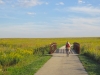 Bridge over creek