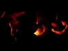 ThanksgivingNov15-6876.jpg
