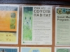 Coyote Habitat Coyote Habitat