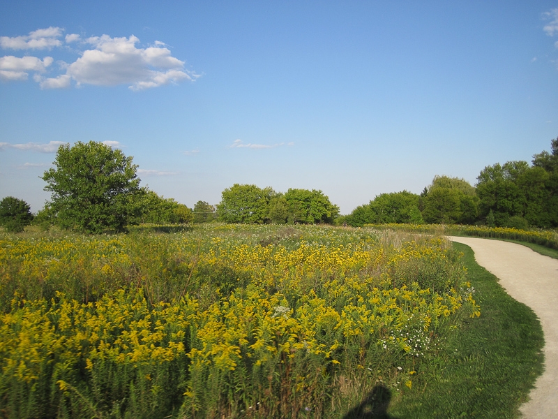 Biking Springbrook Forest Preserve