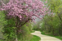 Biking / Kayaking 2015