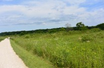 Bike Rides 2017